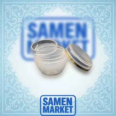 قوطیکرم ورساچ کوچک 1